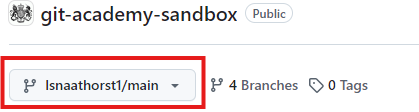 Screenshot of the git-academy-sandbox repository on GitHub, displaying the branches drop-down menu with 'lsnaathorst1/main' selected.