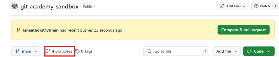 Screenshot of the git-academy-sandbox repository main page, highlighting the 'Branches' button.